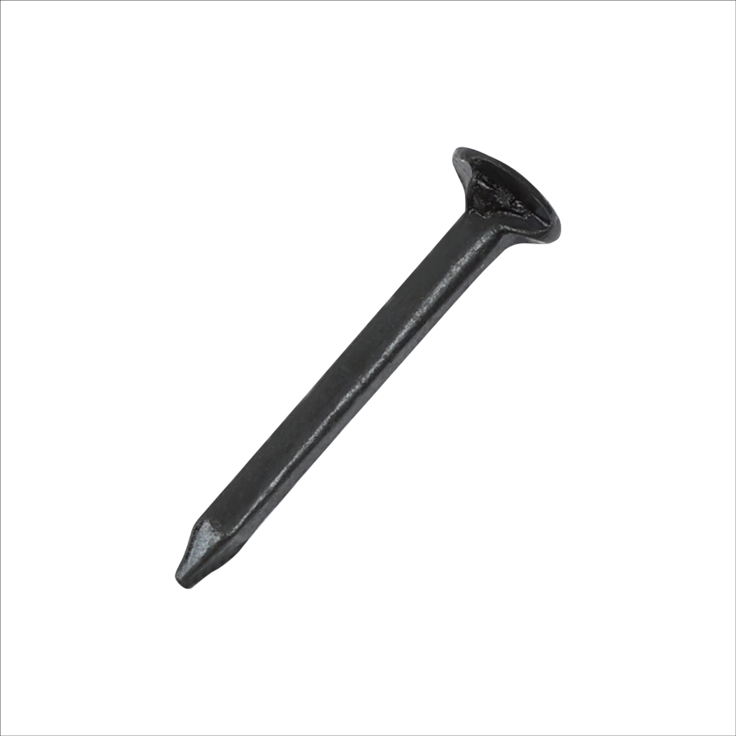 Shoe Nails – 19 mm